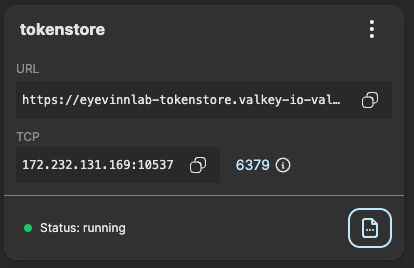 Valkey instance named tokenstore in Open Source Cloud, status running, with its URL and TCP address